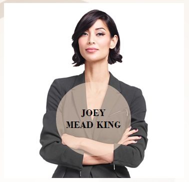 joey mead king asia's next top model judge