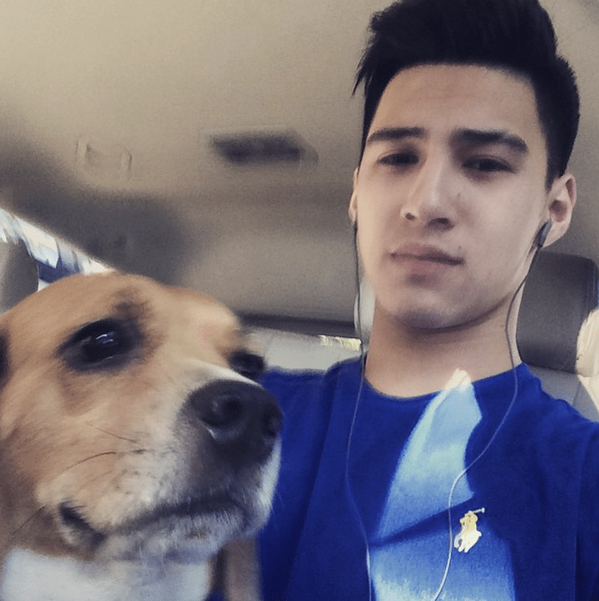 albie casino celebrity with dog artista