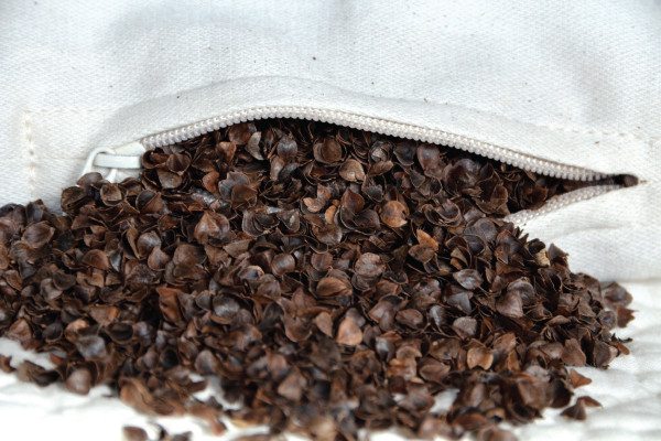 buckwheat pillow kris aquino