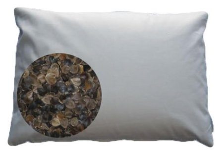 japanese buckwheat pillow kris aquino