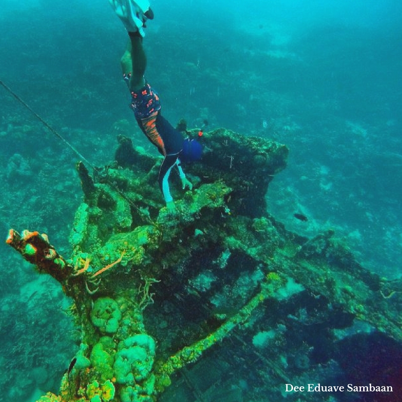 Skeleton Wreck Dive