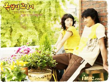 aldub-teleserye-primetime-teleserye-gma-network-korean-remake-alden-richards-maine-mendoza-lie-to-me-full-house-attic-cat-3